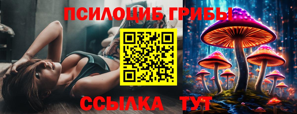Галлюциногенные грибы MAGIC MUSHROOMS  Вход с VPN  где купить наркоту  Заволжье 