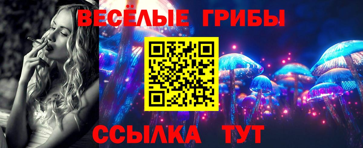 Галлюциногенные грибы Cubensis Заволжье